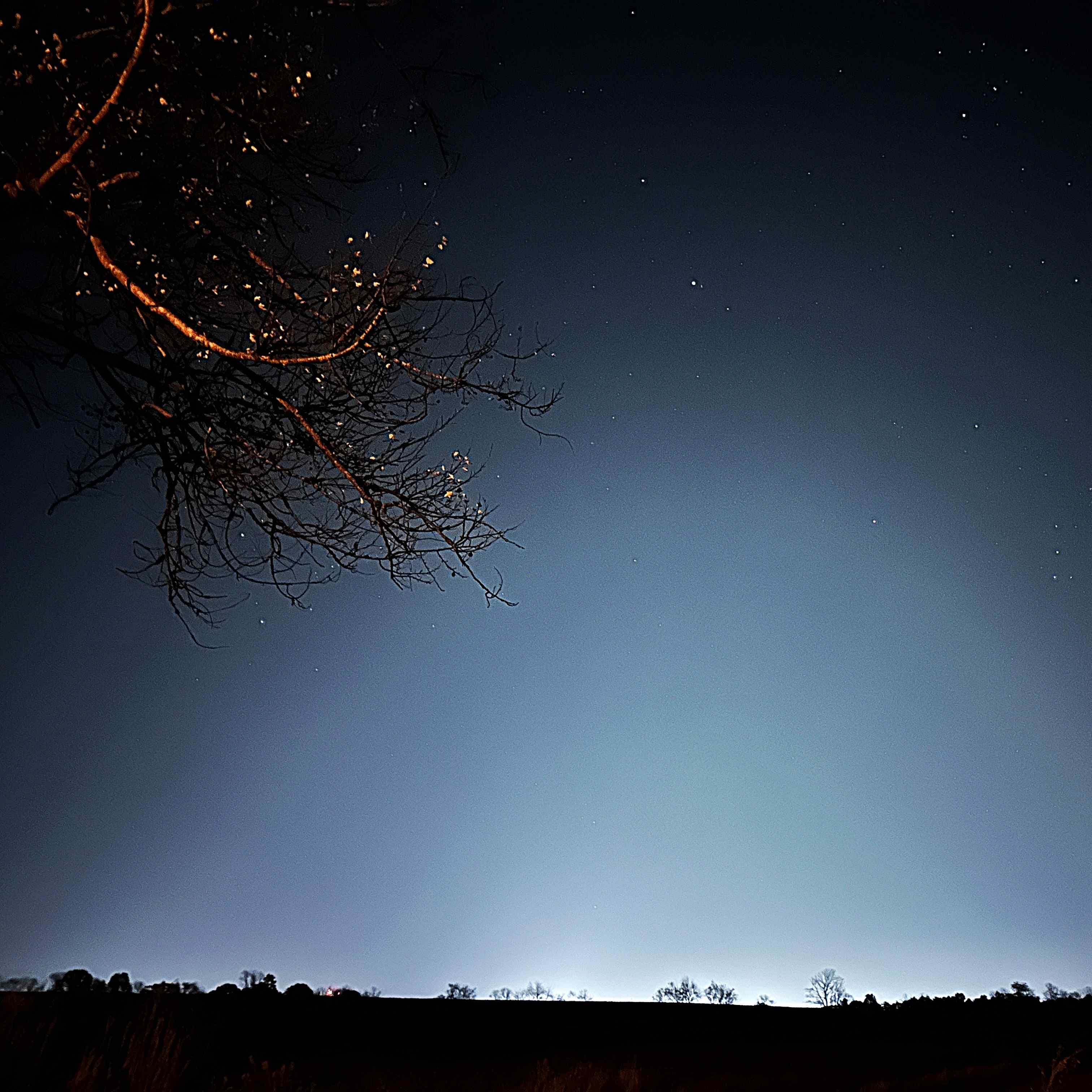Photograph 23