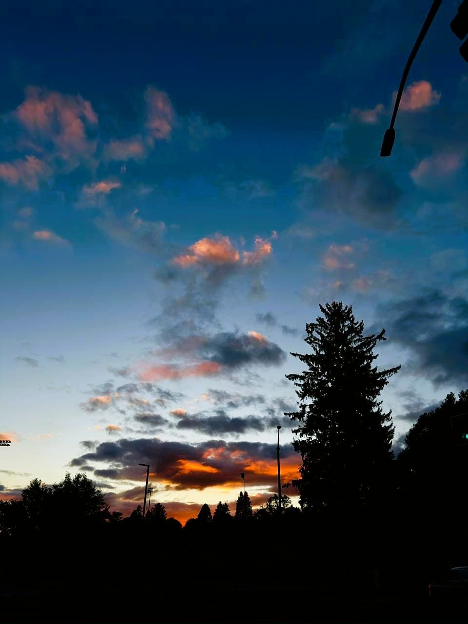 Photograph 24